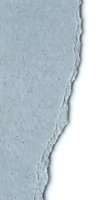 Torn edge of light gray textured paper against white background, suitable for design overlays, backgrounds, and creative projects.