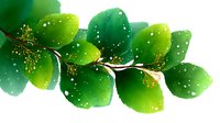 Fresh green leaves with morning dew drops on branch against white background, watercolor style botanical art for nature-inspired designs and spring decorations.