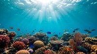 Vibrant coral reef ecosystem with colorful fish swimming in crystal clear tropical waters with sunbeams filtering through ocean surface creating magical underwater scene.