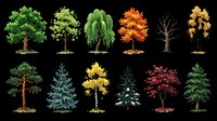 Assorted trees in various seasons and styles isolated on transparent background, ready for clipart, t-shirt design, print-on-demand products, stickers, and sublimation projects.