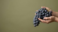 Hand holding fresh blue grapes bunch against neutral background, suitable for food, nutrition, healthy eating, and organic produce marketing materials.