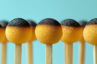 Yellow and black cake pops on wooden sticks arranged in row against blue background. Close up macro food photography with selective focus and bokeh effect.