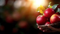 Fresh red apples with water droplets in wicker basket held by hands against blurred natural background with warm sunlight.