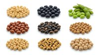 Assorted legumes and beans isolated on white background including chickpeas, black beans, green peas, lentils, and soybeans for cooking and nutrition.