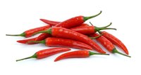 Fresh red hot chili peppers isolated on white background for cooking spice ingredient and culinary design projects.