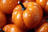 Fresh orange pumpkins with water droplets for autumn harvest, Halloween decoration, seasonal cooking and fall festival celebrations.