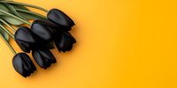 Black tulips bouquet on vibrant yellow background with copy space. Minimal floral composition for modern design, cards, invitations and social media posts.
