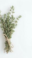 Fresh thyme herb bundle tied with natural twine rope on white background for cooking seasoning culinary kitchen garden organic food preparation.
