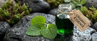 Small glass bottle with green organic essential oil and fresh mint leaves on natural stone surface with moss for aromatherapy and wellness applications.