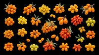 Sea buckthorn berry clusters in orange, yellow, and red tones, isolated on transparent background. Ready for clipart, stickers, t-shirt design, and print on demand use.