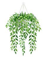 Hanging potted plant with cascading green leaves on white isolated background, decorative indoor houseplant illustration for home decor and botanical design.
