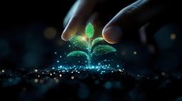Glowing green seedling emerging from soil with magical sparkles and human hand reaching towards it against dark background, representing growth and nurturing.