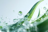 Fresh aloe vera leaf with pure water drops splashing in macro view, natural organic skincare concept on soft green background.