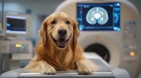 Friendly Golden Retriever dog lying on MRI scanner table in veterinary clinic with brain scan display on monitor in background, modern medical equipment.