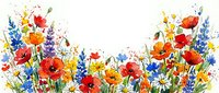 Vibrant watercolor wildflower border with poppies, daisies, and lupines on white background, isolated for cards, banners, and prints.