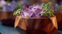 Raw amethyst crystal cluster in wooden bowl with fresh herbs, creating zen-like composition against dark background. Natural healing and meditation concept.