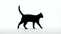 Black cat silhouette walking gracefully on white background, isolated for design use in posters, prints, and pet-themed projects.