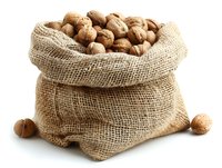 Fresh whole walnuts in rustic burlap sack isolated on white background, natural organic nuts for healthy eating and cooking.