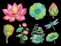 Lotus flower and water lily botanical elements isolated on transparent background, ready for t-shirt design, clipart, stickers, sublimation and print-on-demand projects.