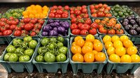 Fresh colorful tomatoes in green plastic containers at farmers market, including red, yellow, orange, purple and green heirloom varieties arranged in rows.