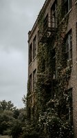 Historic brick apartment building with ivy covered facade and fire escape stairs creating urban architectural charm for residential property concepts.