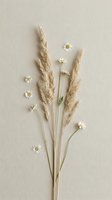 Dried wheat stalks and small white daisy flowers arranged on neutral beige background for natural botanical decoration and craft projects.