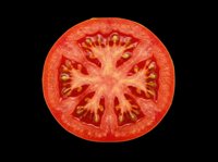 Fresh tomato slice isolated on transparent background, ready for culinary design, recipe graphics, food packaging, print-on-demand products, and digital food illustrations.