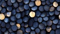 Dark blue spheres with glowing golden accents create abstract geometric pattern. Metallic texture and lighting effects add depth and dimension to round shapes arranged in rows.