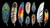 Colorful feather collection isolated on transparent background, ready for t-shirt design, stickers, clipart, sublimation, and print on demand projects.