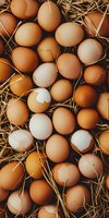 Fresh farm eggs in various natural brown and white shades nestled in golden straw, perfect for organic food marketing, farm-to-table concepts, and rustic lifestyle content.