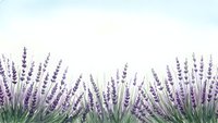 Watercolor lavender field border with purple flowers and green stems on soft pastel background for aromatherapy and wellness designs.