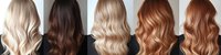 Different shades of blonde and brown wavy hairstyles shown from behind, displaying modern hair coloring techniques and styling variations for salon inspiration.