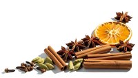 Aromatic winter spices collection with cinnamon sticks, star anise, cardamom pods and dried orange slice on white background for seasonal cooking.