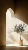 Minimalist olive tree in wooden vase against white wall with arched doorway casting dramatic shadows. Natural sunlight creates artistic composition for modern interior.
