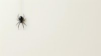 Isolated black spider hanging from web thread on white background, ready for design use on apparel, clipart, and graphic projects.