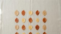 Autumn leaf collection arranged in neat rows on neutral linen fabric background. Fall foliage pattern in warm orange, brown and yellow tones for seasonal decor.