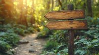 Rustic wooden directional sign post on forest path with sunlit bokeh background and green foliage, empty arrows pointing in opposite directions for nature navigation.