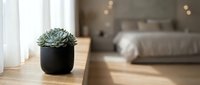 Potted succulent plant in black ceramic container on wooden surface with blurred bedroom interior and natural light in background, suitable for home decor and interior design projects.