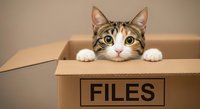 Tabby cat with white paws peeking over edge of cardboard box labeled files, curious expression, isolated on neutral background for design use.