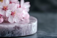 Delicate pink cherry blossoms on marble stand against dark background, soft focus macro photography creates dreamy spring atmosphere for spa and wellness design.