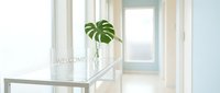 Bright modern reception area with a glass table, monstera leaf in a vase, and a welcome sign in a clean white hallway.