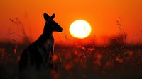 Silhouette of kangaroo against vibrant orange sunset sky with glowing sun and wild grass meadow creating dramatic Australian outback atmosphere.
