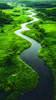Meandering river flows through lush green valley with dense forest and meadows, aerial view capturing natural curves and patterns in pristine wilderness landscape.