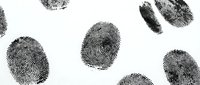 Fingerprints scattered on white background, forensic evidence for criminal investigation, law enforcement, security, identity verification, and biometric authentication design projects.