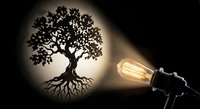 Tree of life shadow cast by vintage Edison bulb on wall creating artistic silhouette with roots and branches for creative lighting design concepts.