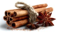 Aromatic cinnamon sticks tied with rustic twine alongside star anise spice on white background, perfect for culinary and seasonal designs.