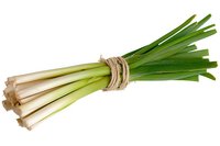 Fresh green leeks bundle tied with natural twine rope isolated on white background. Raw organic vegetables for cooking healthy meals and recipes.
