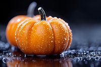Fresh orange pumpkin with water drops on dark background with reflection and bokeh lights, macro photography for autumn seasonal design.