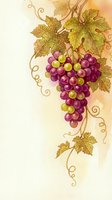 Watercolor grape cluster with vine leaves and decorative swirls on textured background for wine labels, kitchen decor and harvest themed designs.