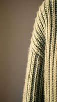 Close-up detail of saguaro cactus with vertical ridges and spines in warm desert lighting for botanical and nature photography projects.